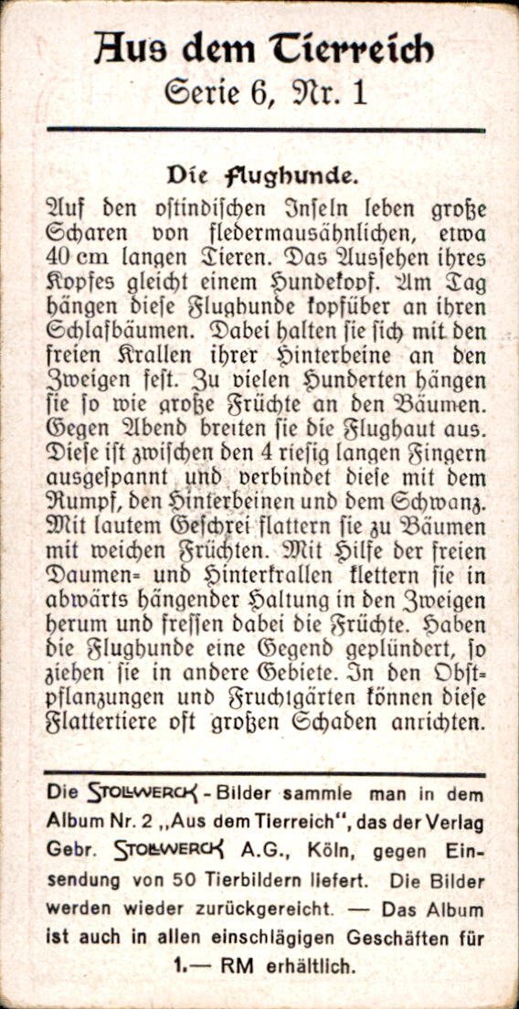 /Germany/Stollwerck/Animals/DE_Stollwerck_1932_Aus dem Tierreich (24).jpg